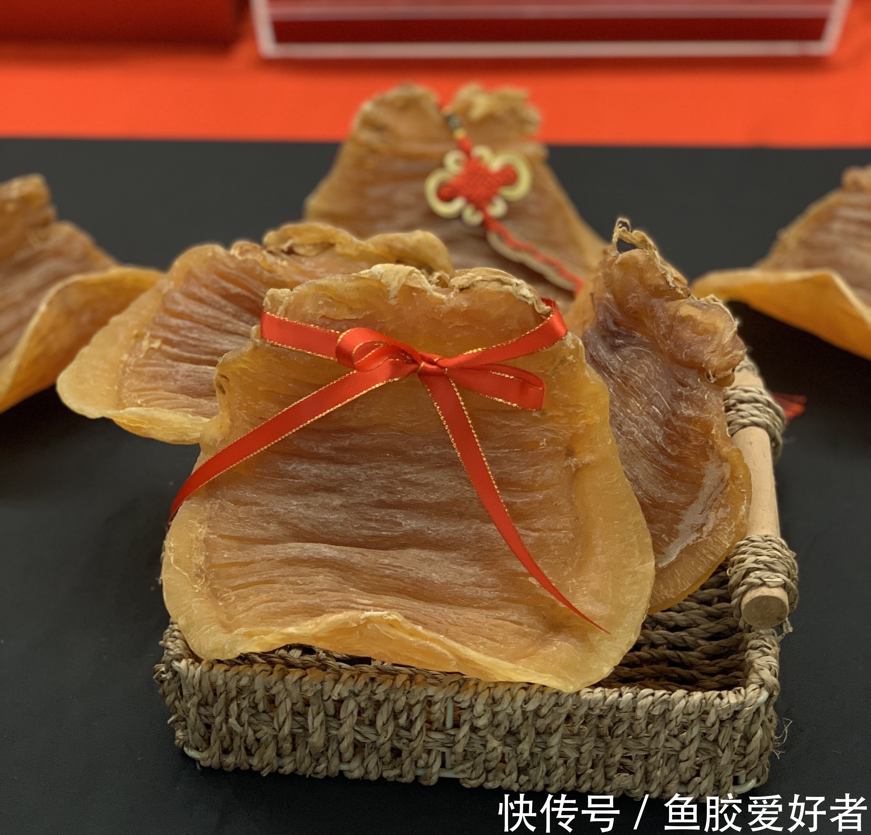 蝴蝶胶是白花胶吗