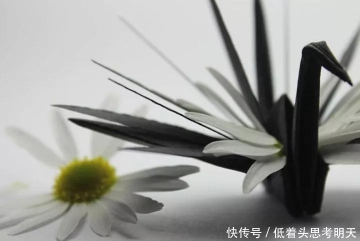 重样|每天折一只千纸鹤,他坚持了1000天不重样,女友被感动到梨花带雨