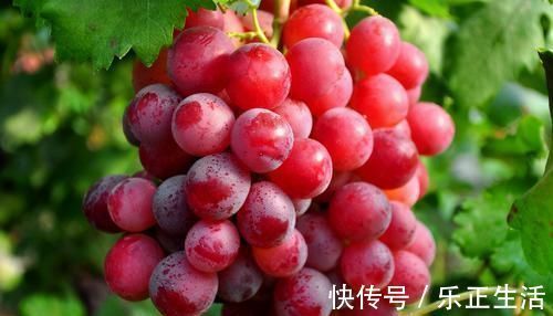 补充雌激素|女性不想被同龄人比下去，多吃3种食物，补充雌激素，卵巢更健康