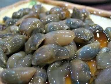 海鲜|渔民整理的海鲜大全,以后再也不怕不认识海鲜了