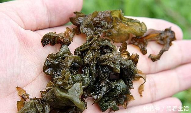 下雨|下雨后才长大,以前捡了一个小水桶,现在一斤高级菜卖70元,不是吗