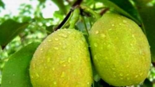 食物|女性不像是衰老，平时吃的食物，排黑臭宿便，湿气没了，身材更好