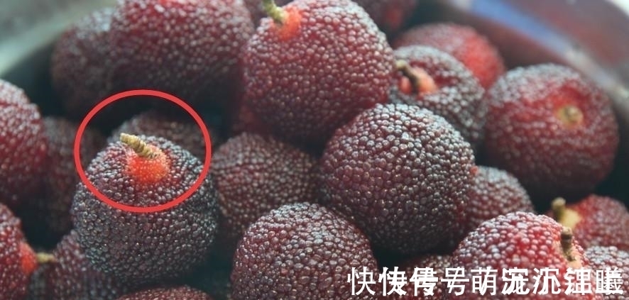 水果|3种水果中含有寄生虫,孩子再喜欢也要尽量少吃,不如多吃这几种