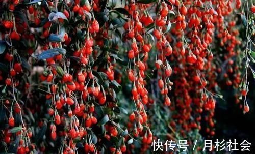 胡润百富|西北名城GDP不到2000亿，卖房却超500亿，房价涨幅全国第一！
