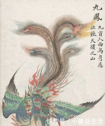 李时珍|当年楚国的图腾神鸟,最终堕落为西游记里的多头怪物,可惜!可叹!