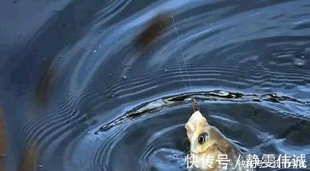 钓浮不会调漂没关系，这两种方法，会操作、懂思路就能上鱼