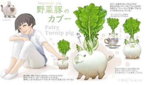 青菜|各种蔬菜的动物化,生姜变成了憨憨鸭,菜狗表情包的来源找到了