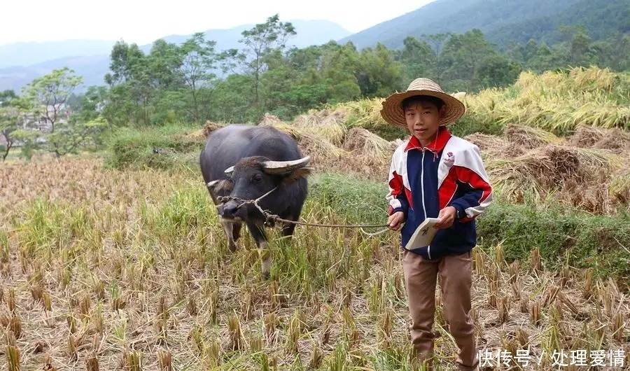 父母离婚，孩子归谁？明年起有新规，重点要看孩子年龄