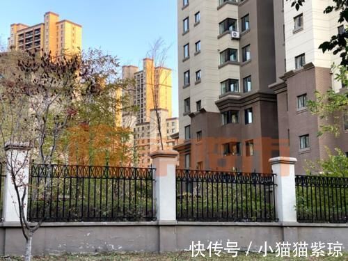 价格|网传此生决不能买“康月光”?65.7%的二手房价格涨幅告诉你能不能买!