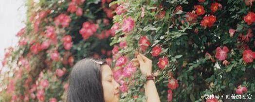 她用一斤香蕉养出花海一片,花香四溢,美翻天!