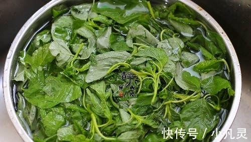 菜市场|此菜夏天才有,用来包饺子最香,鲜美又补钙,但很少有人吃过