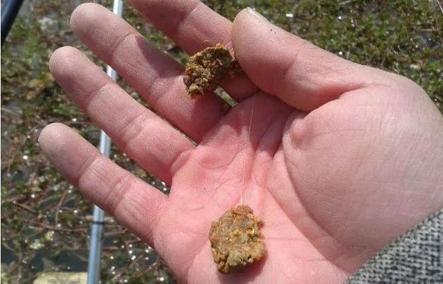 钓鱼时补窝要恰到好处,老钓友教你几招,让你钓鱼时把鱼留住!