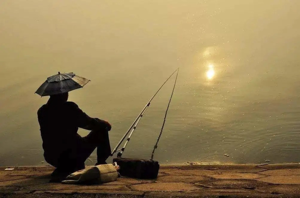 水广鱼稀,只要用上这些方法,不愁钓不上鱼!