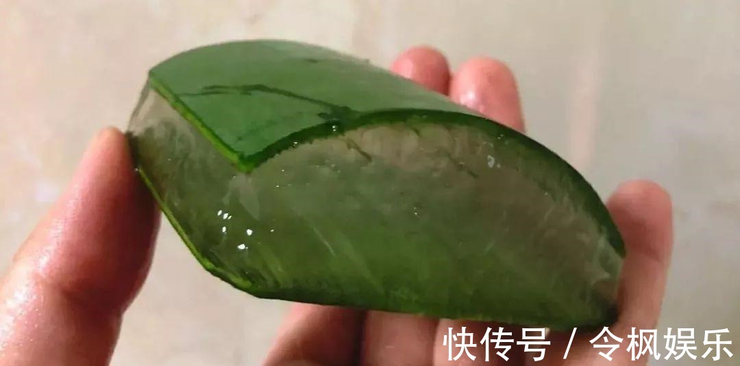 老中医最爱的8种花,一盆堪比小药箱,摘片叶子就能泡水喝!