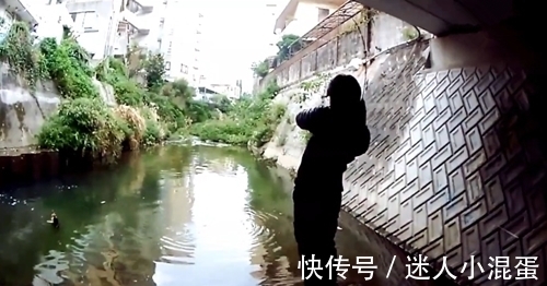 钓鱼|桥下水虽少,但却钓上了大鱼,太激动了,鱼差点就跑掉了