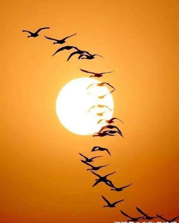 故乡&杜牧最有诗意思乡诗,中间20字乃孤独名句,得以入选唐诗三百首