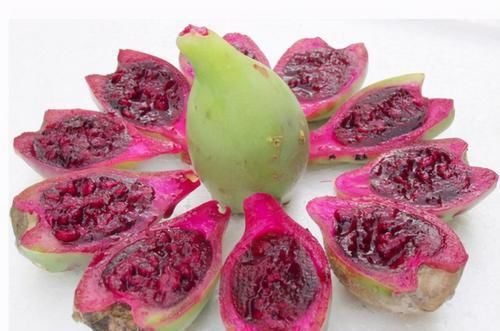  食物|冬天女性多吃三种食物，补充营养，润肺祛痰，健脾解毒好处多