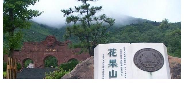 花果山|法国游客拍下江苏“花果山”照片，网友：这简直是大自然的馈赠