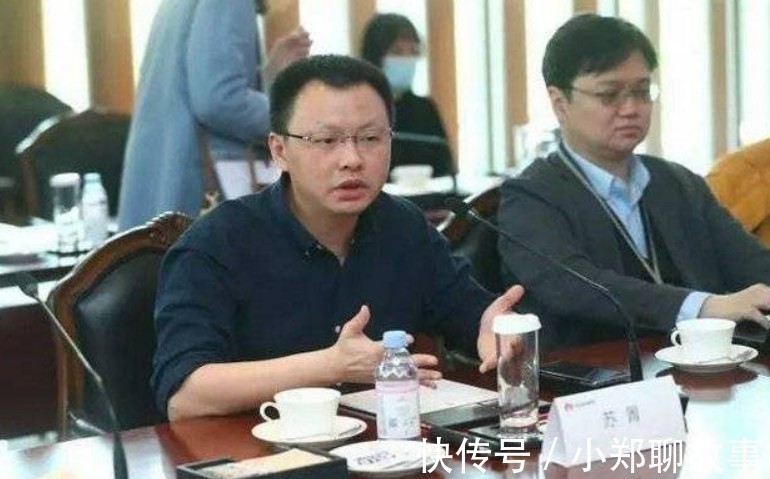驾驶技术|挥刀自宫!苏菁因不当言论评特斯拉被华为免职,背后意义何在