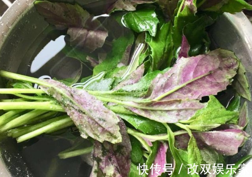它被称穷人的“补血菜”，18元一斤，气血足了，早食早受益