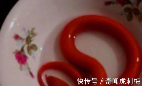 黄鳝|男子野外钓鱼散心, 钓到一条怪鱼, 富豪出高价收购却被他拒绝