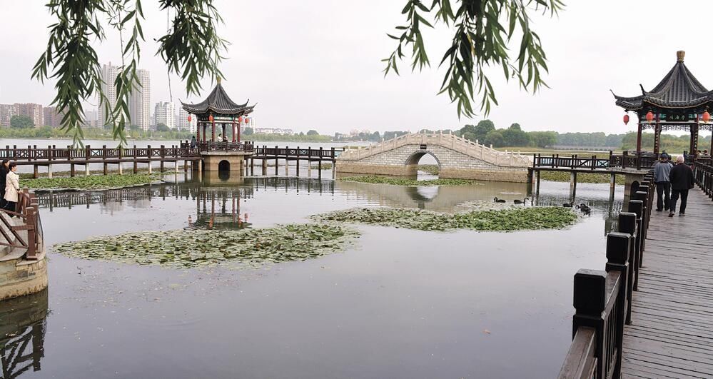 科普知识|幸福路小学 提高安全意识 学习科普知识