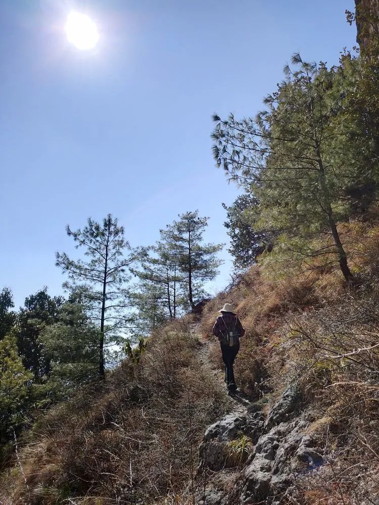 指南村|登顶东川小牯牛山——慈悲殿