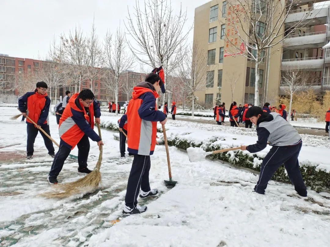 雪后校园别样娇