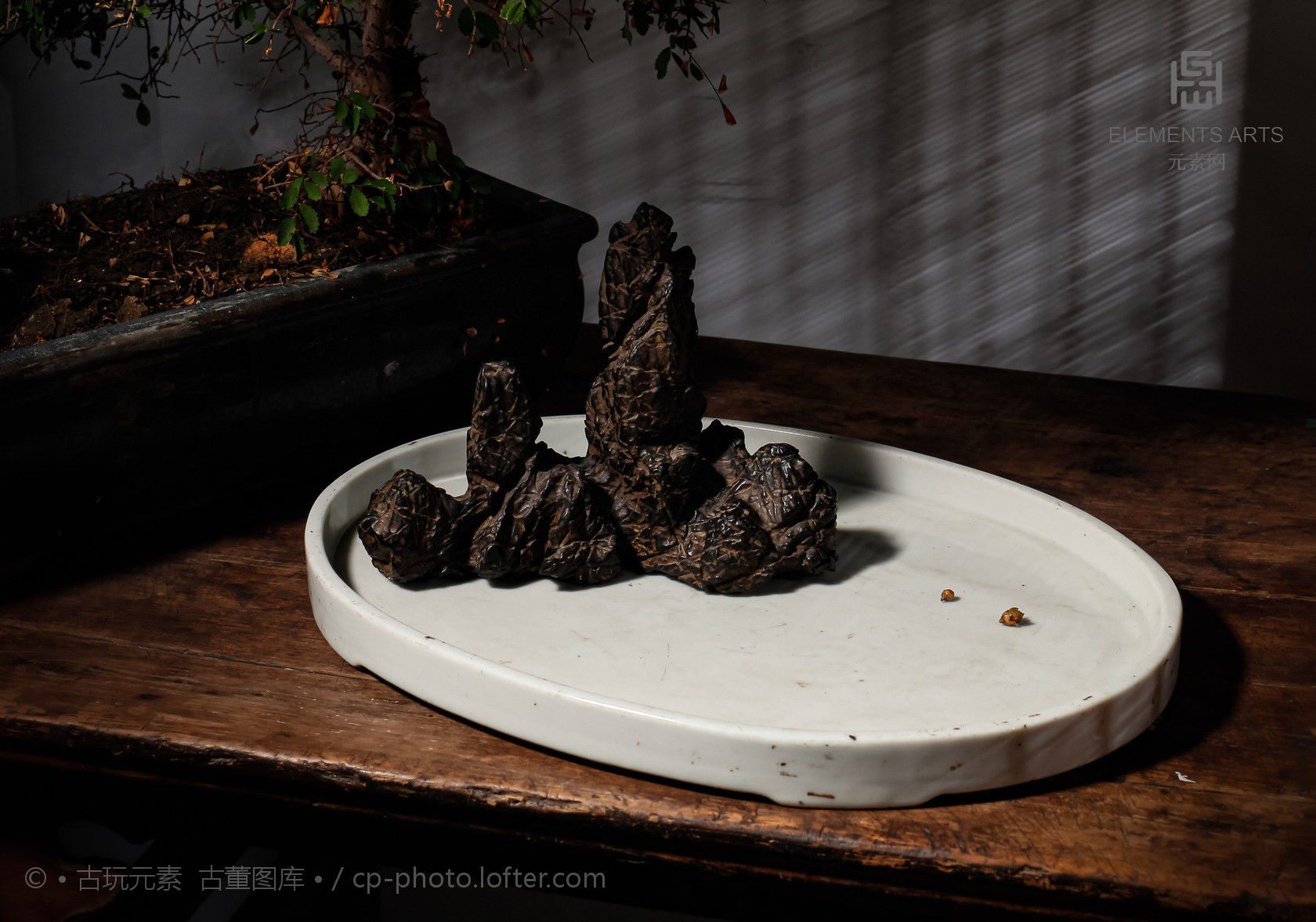 九月|沧海遗珍 九月廿五庚子年 「鼠年」丁亥月 丁巳日 之一