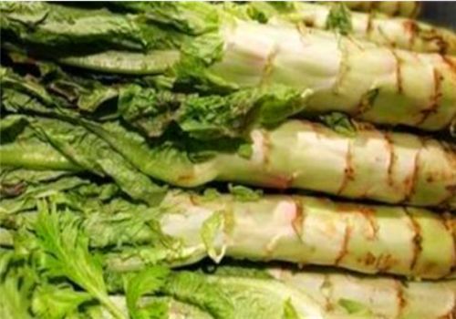 瘦身|女人想变美，不妨常吃以下食物，减肥瘦身，补足气血，早吃早好