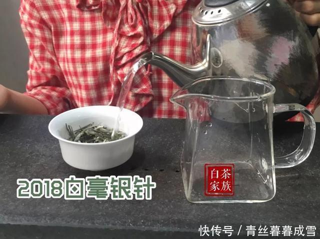 你也陷入了泡白茶的迷局吗温水和沸水,哪个才是最适合的水温