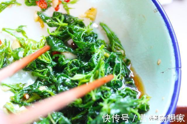 大天亮|晚上老失眠，常吃这菜，5元1把一觉睡到大天亮，吃过的人没几个