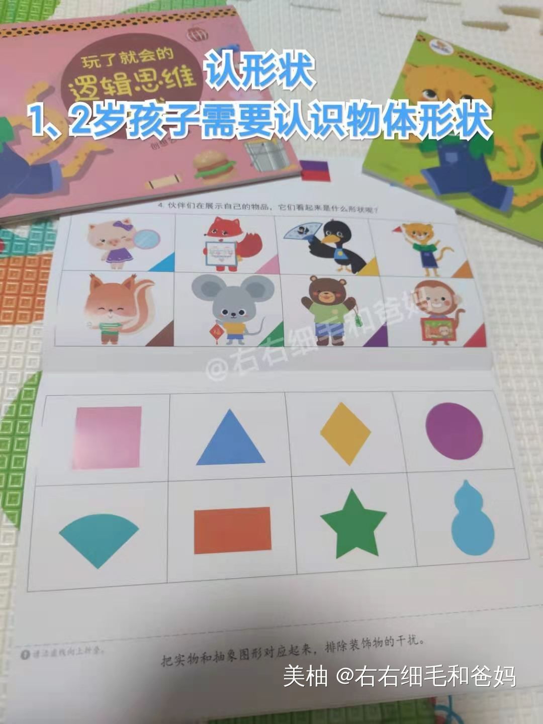 幼儿园数学教具大开眼界，家长在家没教具，也能教数学吗？