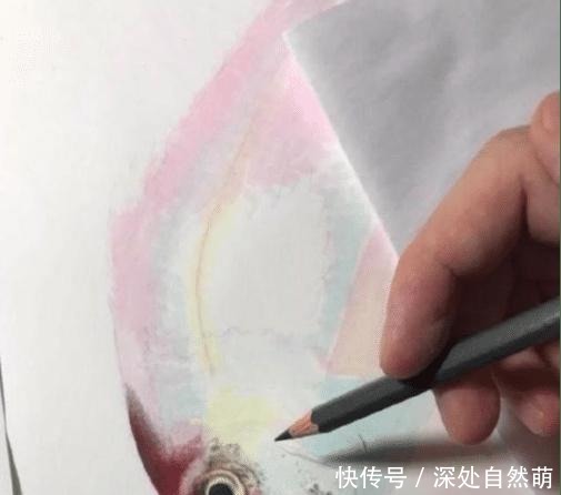 日本90后画家画鱼堪比冷军!没有画水,却画出了鱼游动的感觉!