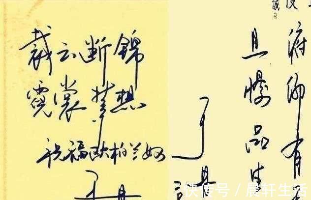 硬笔书法!于丹硬笔书法欣赏笔法老练有张力,洒脱但缺少文化人的内敛