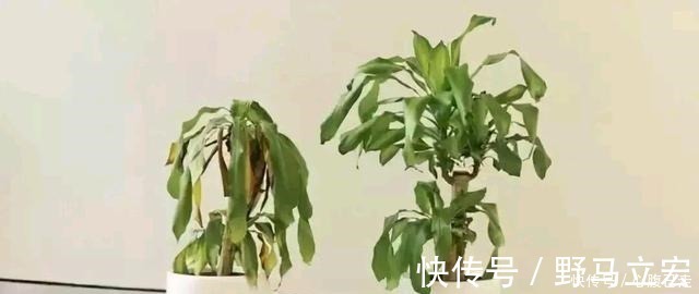 女儿|妈妈训女儿,邻桌的陌生男人却泪如雨下,这是怎么了