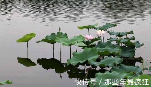 长干曲&崔颢的四首绝句,风格清新,谐音双关,令人倍感余味无穷