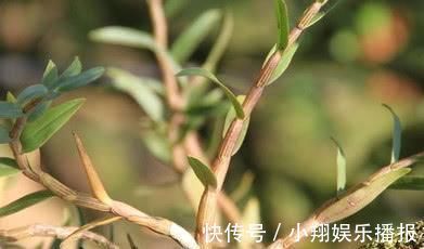 雌激素|女性一旦过了40岁, 6种食物一定要常吃, 补充雌激素, 更有女人味