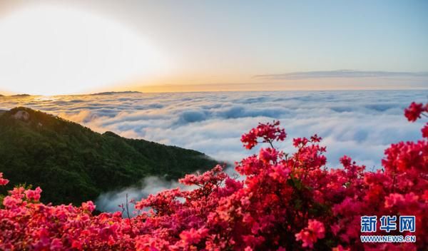 湖北麻城龟峰山：半山云雾半山红