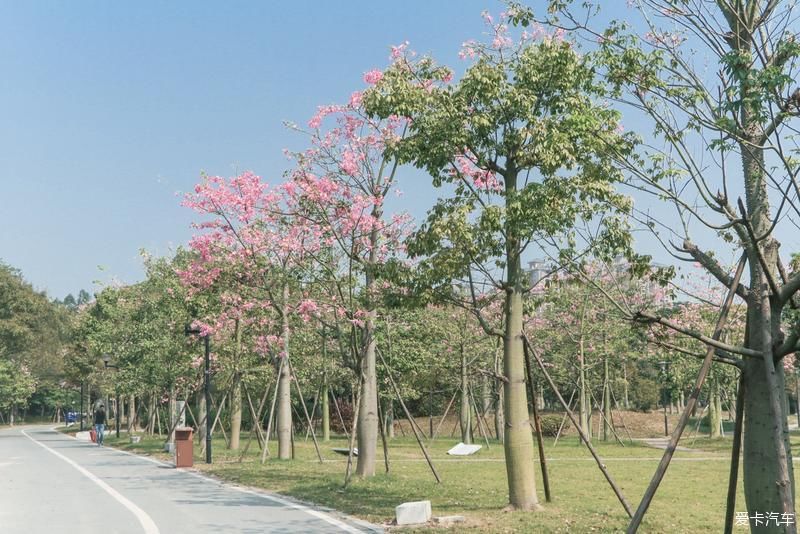 村里|古村里的顺德味