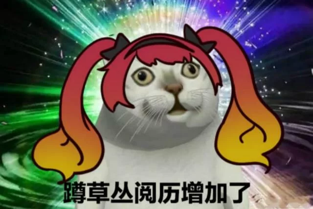 王者荣耀妲己被遭图片