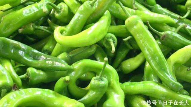 买青椒时,挑弯的还是挑直的种菜农看“这里”就知辣不辣!