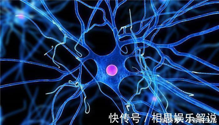 血液循环|最负争议的痴呆测试:图上的人是在天上还是河里?考考你的观察力