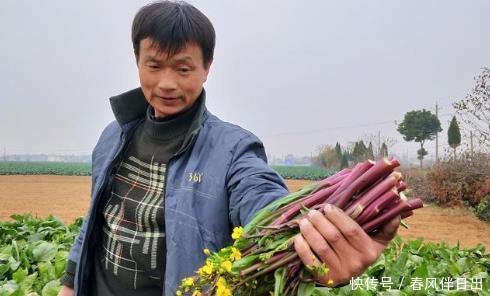 不该|22岁农村男孩染上艾滋后的痛悟:不该碰的不要碰,读书才是出路