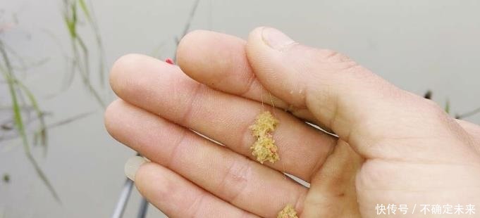 狂拉后却遭到“停口”老渔民说出实情,原来不少钓鱼人都做错了!