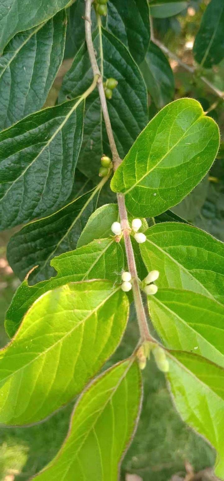 臭大姐|河边拾零