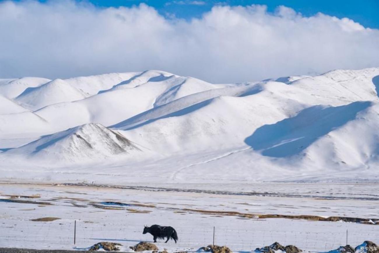 闪闪发光的雪山梦境