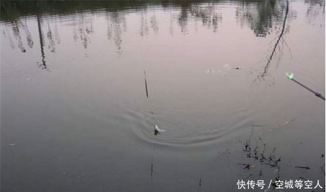 不知道用七星漂还是立漂，看完这篇就知道了