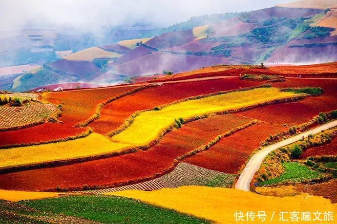 赏花|罗平赏花攻略，万亩油菜花开成海