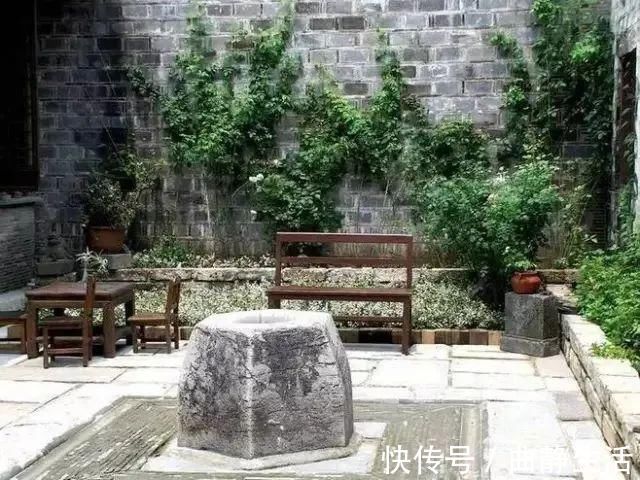 等我老了以后，找个小院陪你养花种菜！